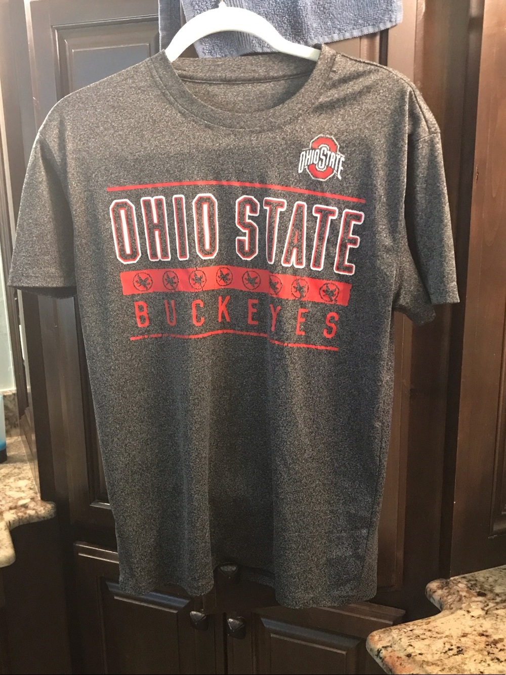 Ohio State Buckeyes Gray & Red Graphic Tee